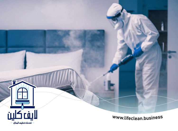 شركة مكافحة بق الفراش في الفجيرة 5 شركة مكافحة بق الفراش في الفجيرة