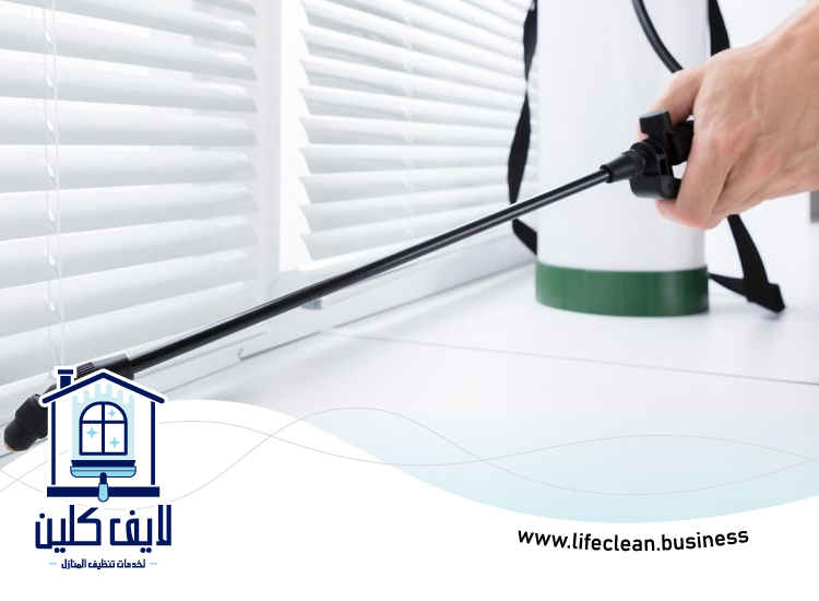 شركة مكافحة بق الفراش في ام القيوين 4 شركة مكافحة بق الفراش في ام القيوين