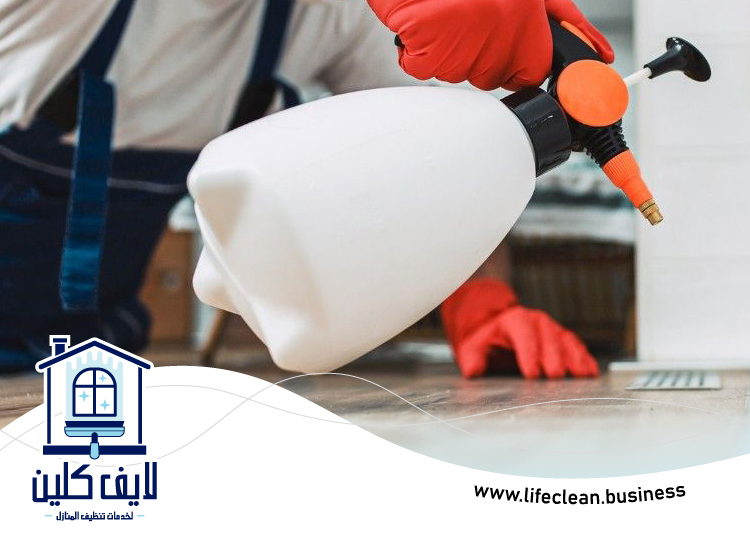 شركة مكافحة بق الفراش في ام القيوين 5 شركة مكافحة بق الفراش في ام القيوين