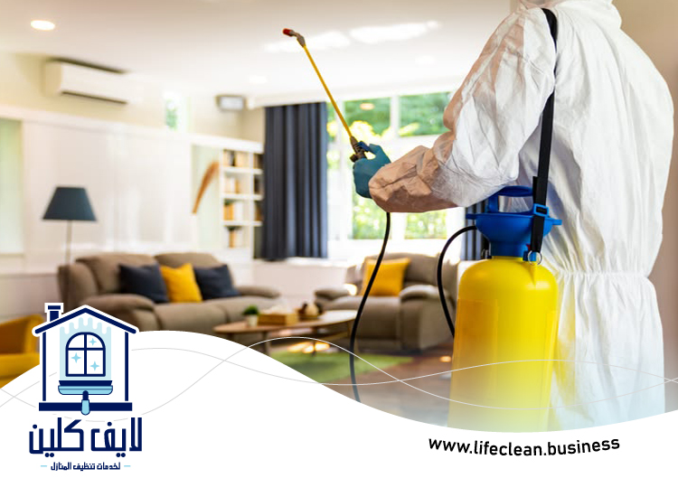 شركة مكافحة بق الفراش في دبي 5 شركة مكافحة بق الفراش في دبي