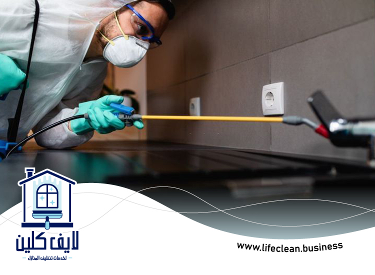 شركة مكافحة بق الفراش في دبي 4 شركة مكافحة بق الفراش في دبي