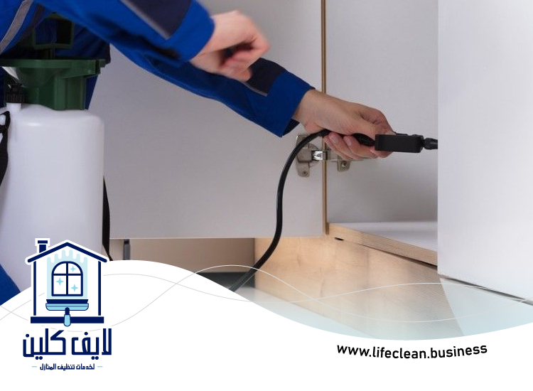 شركة مكافحة بق الفراش في دبي 3 شركة مكافحة بق الفراش في دبي