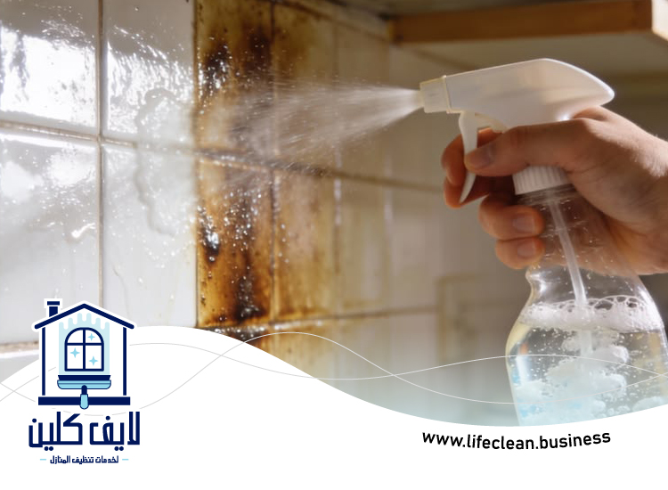 شركة تنظيف مطابخ في عجمان