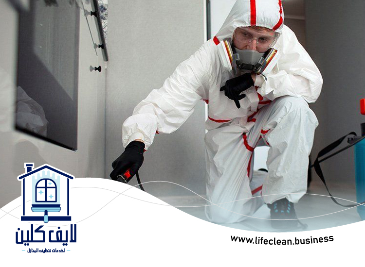 شركة مكافحة بق الفراش في الشارقة 3 شركة مكافحة بق الفراش في الشارقة