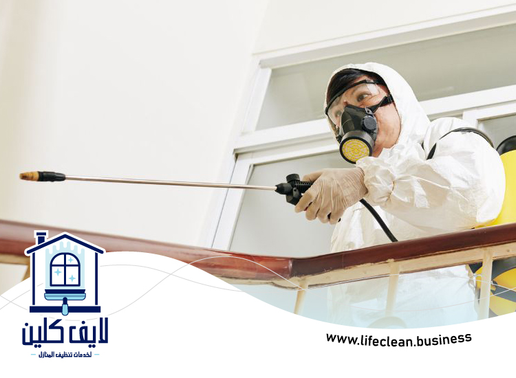 شركة مكافحة بق الفراش في الشارقة 4 شركة مكافحة بق الفراش في الشارقة