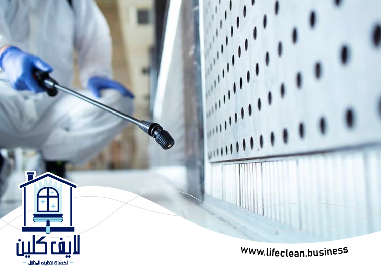 شركة مكافحة بق الفراش في عجمان 4 شركة مكافحة بق الفراش في عجمان