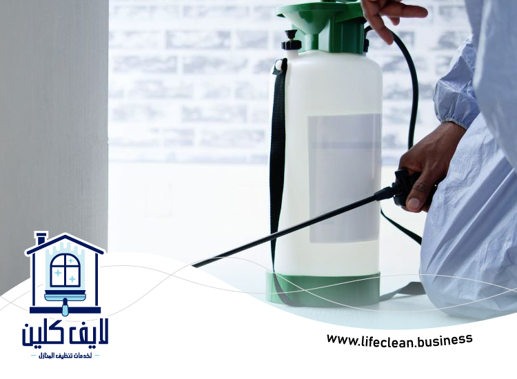 شركة مكافحة بق الفراش في راس الخيمة 4 شركة مكافحة بق الفراش في راس الخيمة