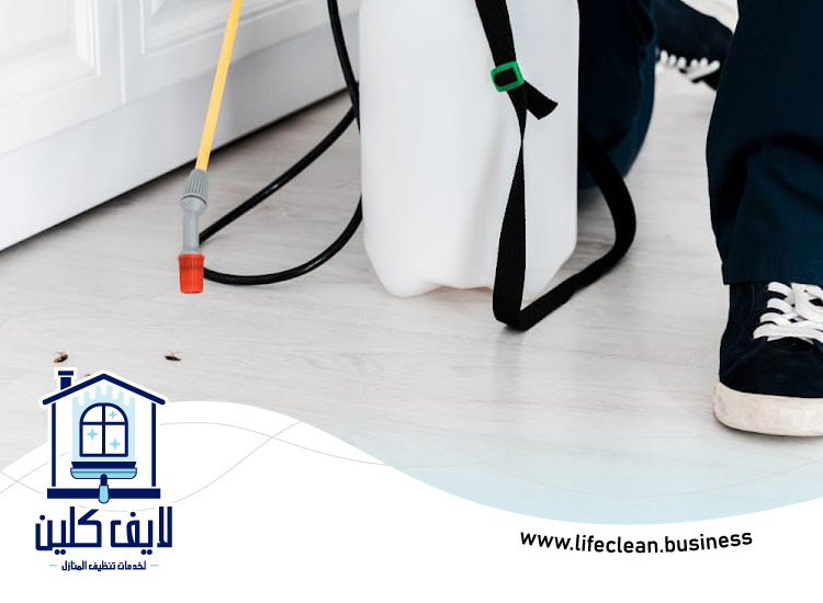 شركة مكافحة بق الفراش في راس الخيمة