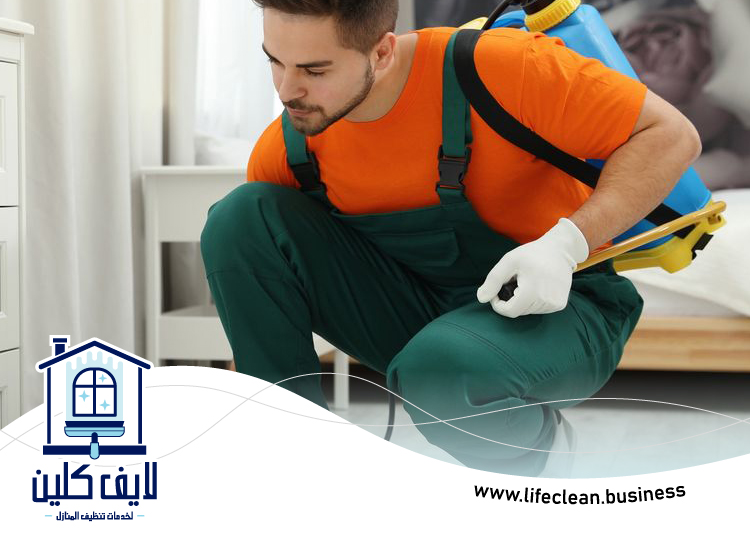 شركة مكافحة بق الفراش في راس الخيمة 3 شركة مكافحة بق الفراش في راس الخيمة
