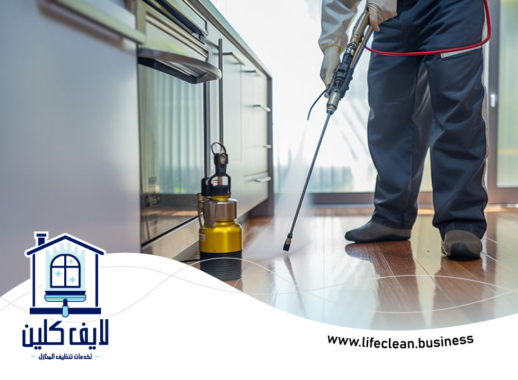 شركة مكافحة بق الفراش في راس الخيمة 5 شركة مكافحة بق الفراش في راس الخيمة