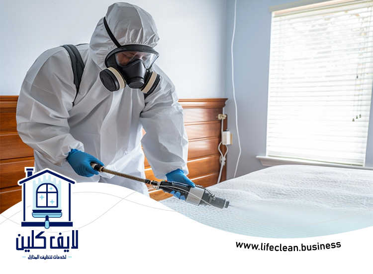 شركة مكافحة بق الفراش في عجمان 4 شركة مكافحة بق الفراش في عجمان