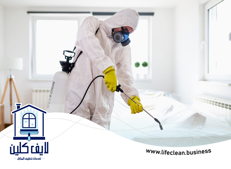 شركة تعقيم في ام القيوين 4 شركة تعقيم في ام القيوين