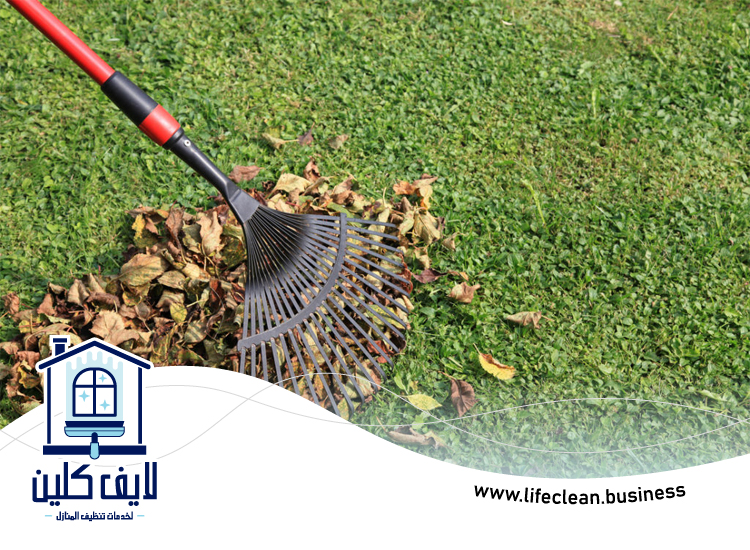 شركة تنظيف احواش في الفجيرة 3 شركة تنظيف احواش في الفجيرة