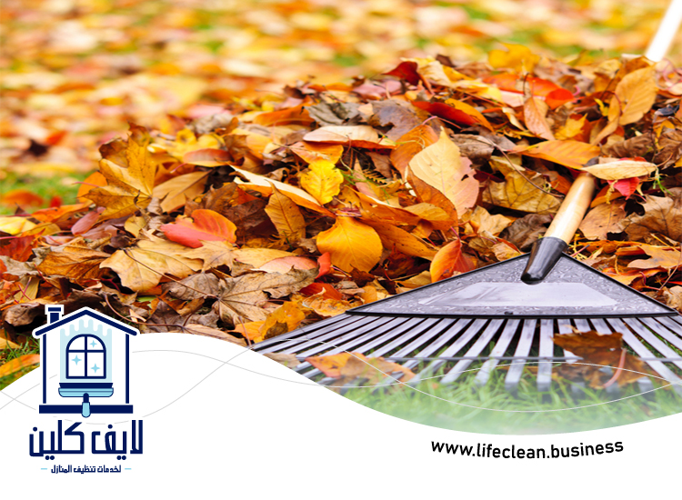 شركة تنظيف احواش في الفجيرة 4 شركة تنظيف احواش في الفجيرة