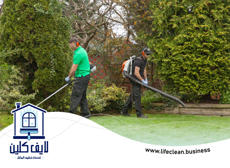 شركة تنظيف احواش في الفجيرة 5 شركة تنظيف احواش في الفجيرة
