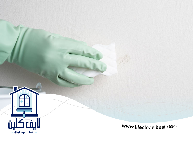 شركة تنظيف حوائط في الفجيرة 5 شركة تنظيف حوائط في الفجيرة
