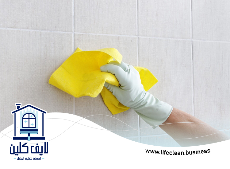 شركة تنظيف حوائط في دبي 3 شركة تنظيف حوائط في دبي