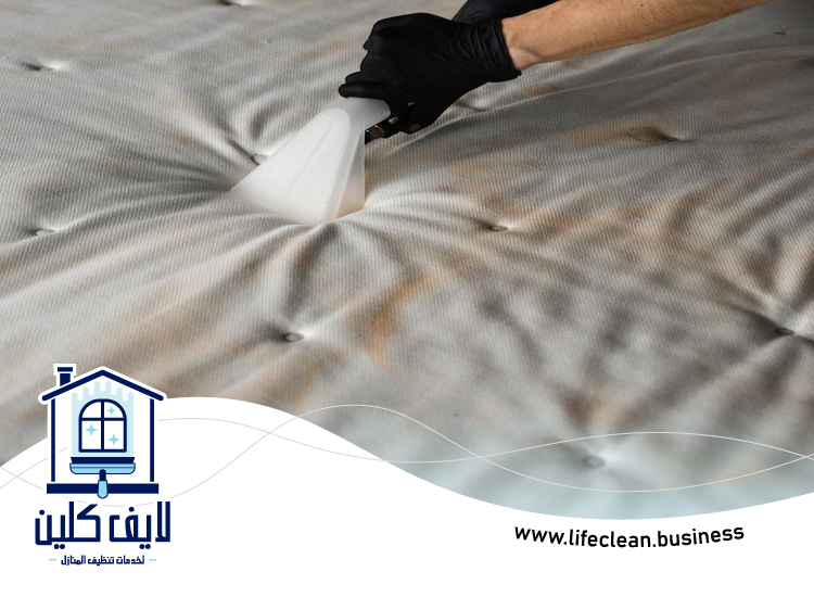 شركة تنظيف مراتب في العين 5 شركة تنظيف مراتب في العين