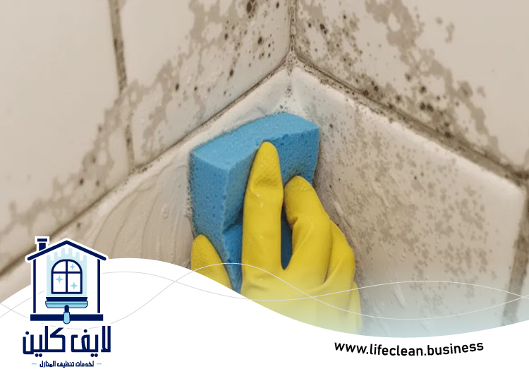 شركة تنظيف حوائط في راس الخيمة 3 شركة تنظيف حوائط في راس الخيمة