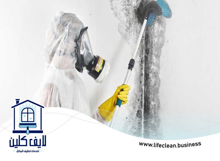 شركة تنظيف حوائط في راس الخيمة 4 شركة تنظيف حوائط في راس الخيمة