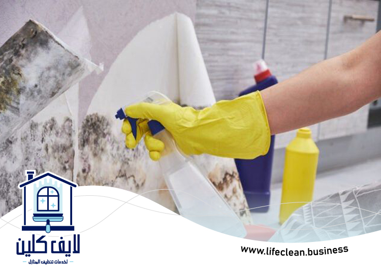 شركة تنظيف حوائط في راس الخيمة 5 شركة تنظيف حوائط في راس الخيمة