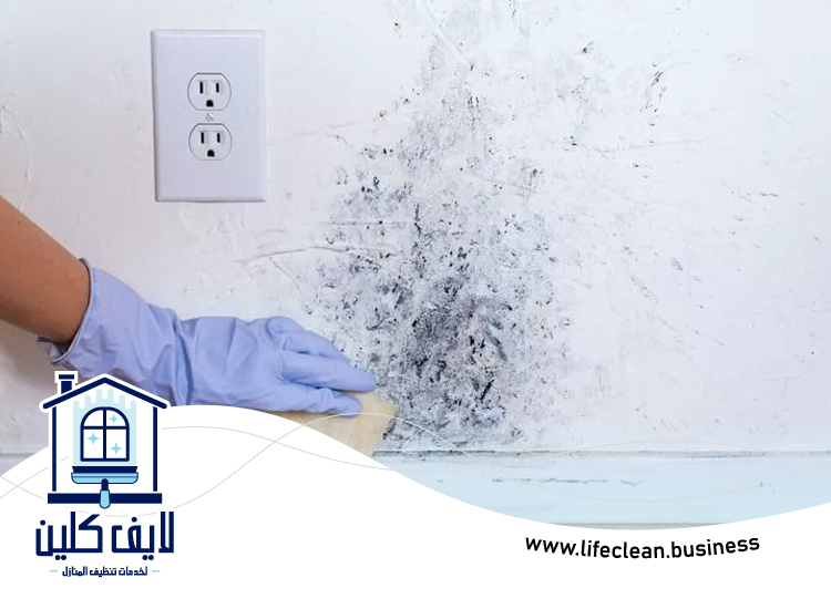شركة تنظيف حوائط في ام القيوين 2 شركة تنظيف حوائط في ام القيوين
