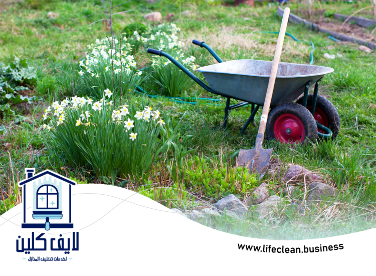 شركة تنظيف احواش في الشارقة 5 شركة تنظيف احواش في الشارقة