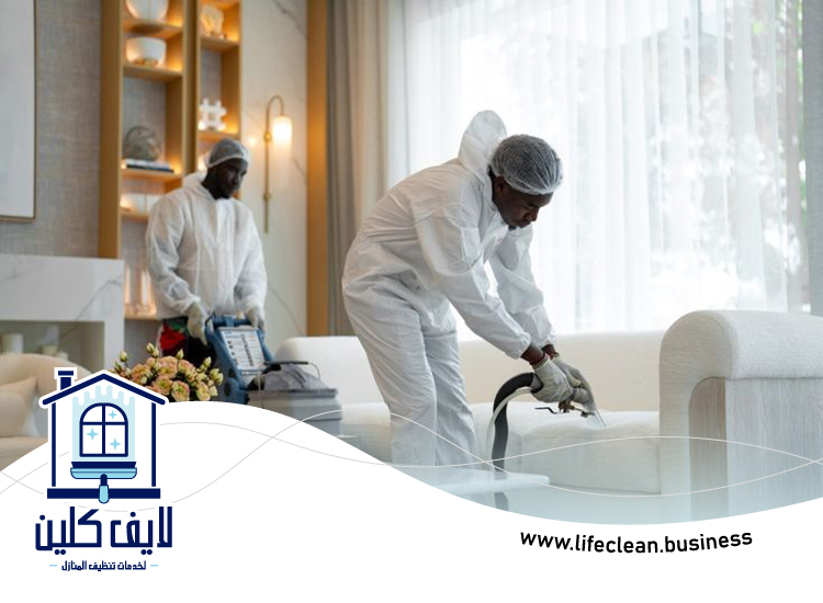 شركة تنظيف في الحميدية 5 شركة تنظيف في الحميدية